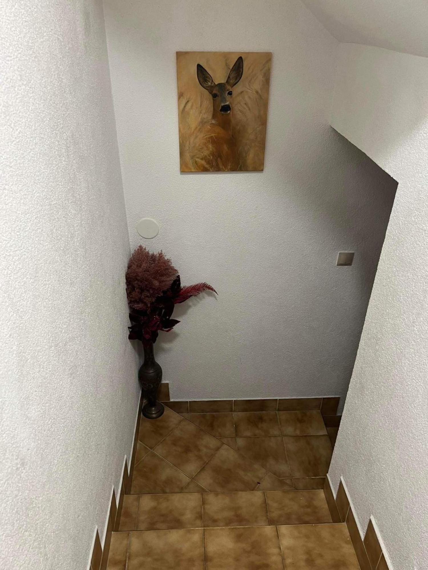 Privat Forest Liptovský Mikuláš Екстериор снимка