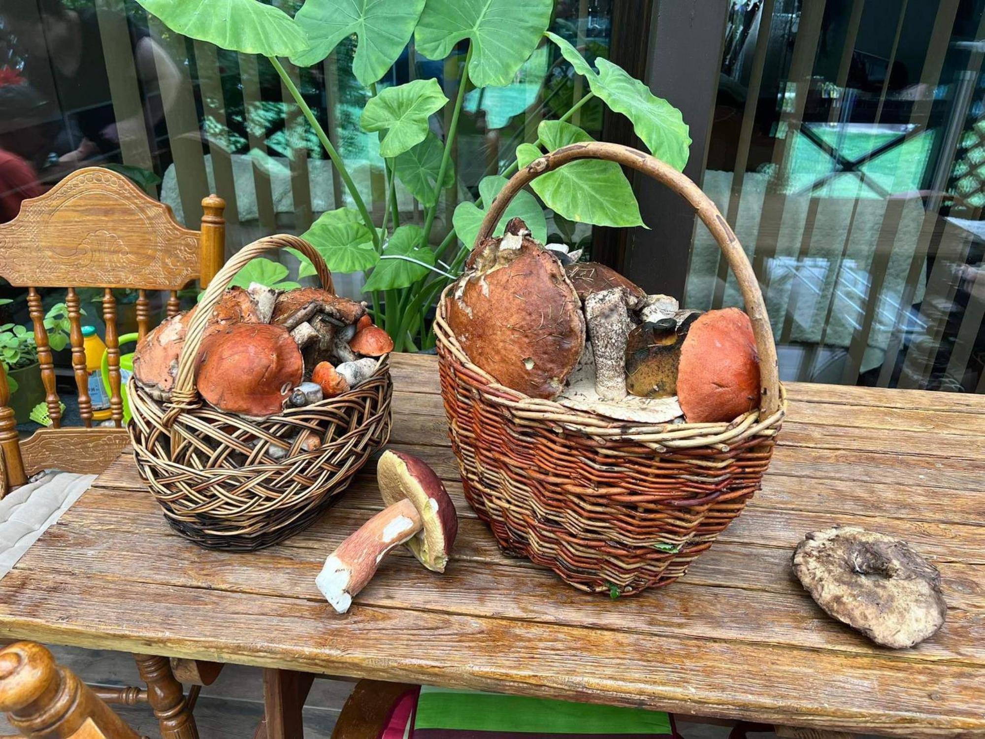 Privat Forest Liptovský Mikuláš Екстериор снимка