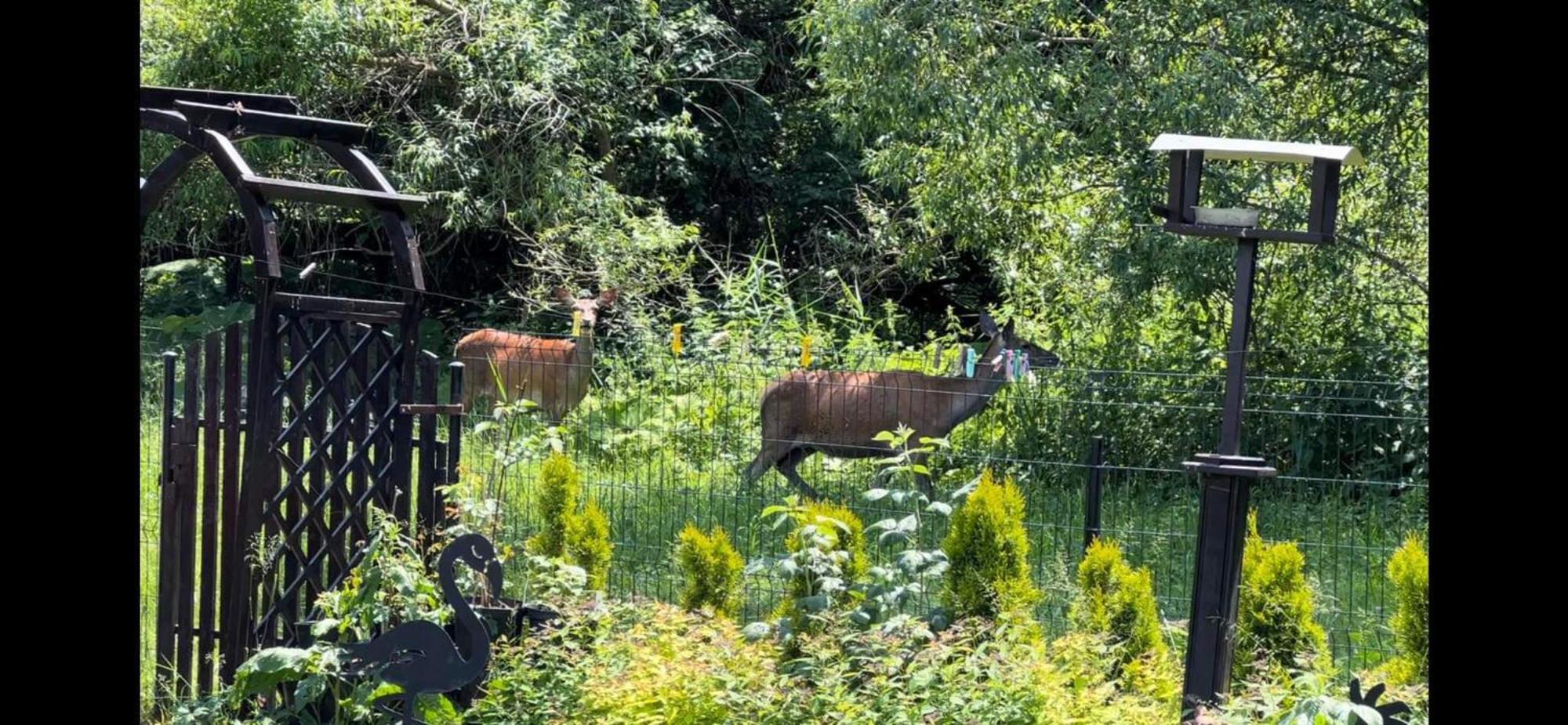 Privat Forest Liptovský Mikuláš Екстериор снимка